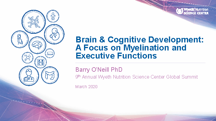 Brain & Cognitive Development: A Focus on Myelination and Executive Functions