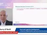 Brain and cognitive development – a focus on myelination and executive functions. Dr. Barry O’Neill