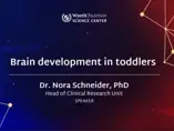 Brain Development in Toddlers
