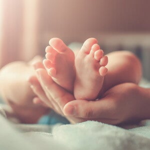 New Insights in Gut Microbiota Establishment in Healthy Breast Fed Neonates