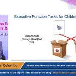 The new dimensions for infant learning - Prof. John Colombo 30 Oct 2019