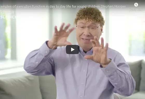 Examples of executive function in day to day life for young children Stephen Hooper Examples of executive function in day to day life for young children Stephen Hooper