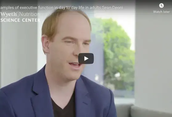 Examples of executive function in day to day life in adults Sean Deoni Examples of executive function in day to day life in adults Sean Deoni