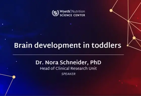 Brain Development in Toddlers