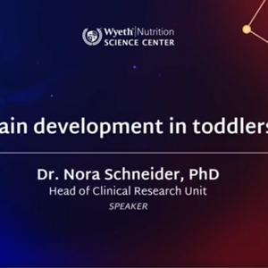 Brain Development in Toddlers