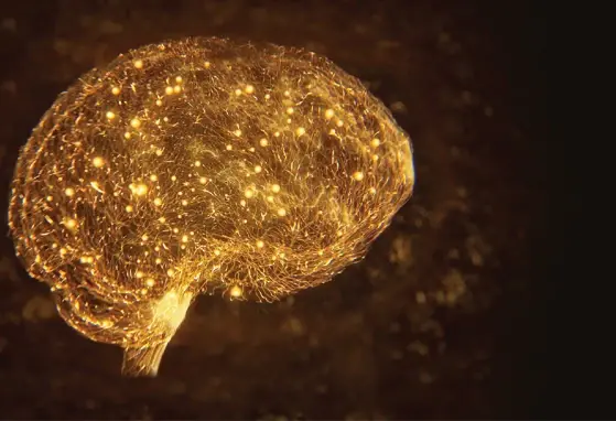 The Developing Brain – A Rapid and Complex Journey The Developing Brain – A Rapid and Complex Journey