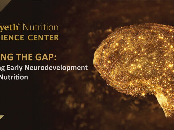Bridging the Gap: Optimizing Early Neurodevelopment Through Nutrition