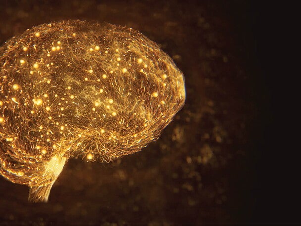 The Developing Brain – A Rapid and Complex Journey