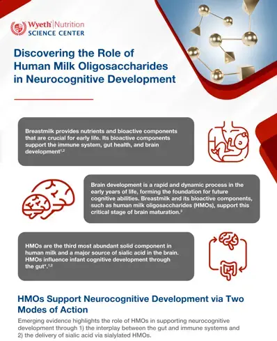 Discovering the Role of HMOs in Brain Development Infographic Discovering the Role of HMOs in Brain Development Infographic
