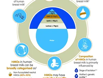 All about Human Milk Oligosaccharides